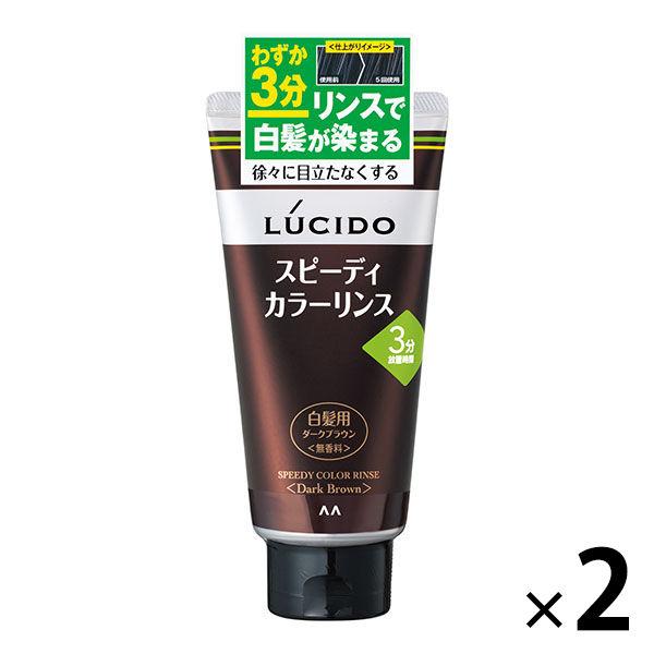 LUCIDO（ルシード）スピーディカラーリンス ダークブラウン メンズ用 白髪染め 無香料 160g...