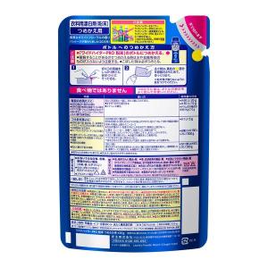 ワイドハイター PRO プロ 粉末 詰め替え ...の詳細画像2