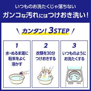 ワイドハイター PRO プロ 粉末 詰め替え ...の詳細画像5