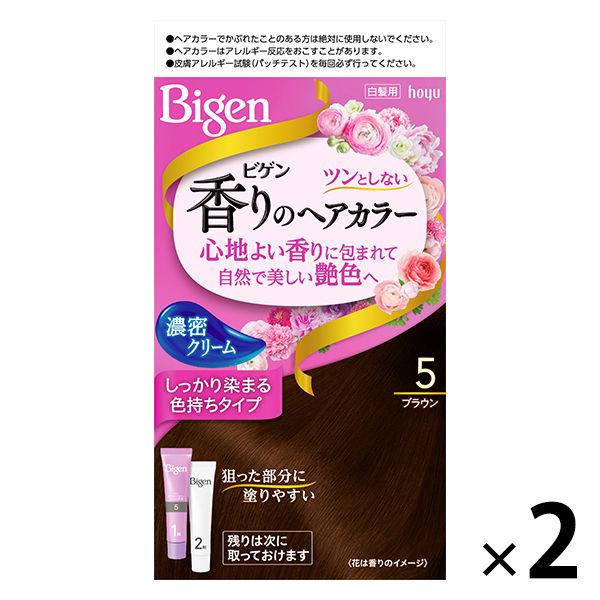 ビゲン 香りのヘアカラー クリーム 5 ブラウン 1セット（2個） hoyu（ホーユー）