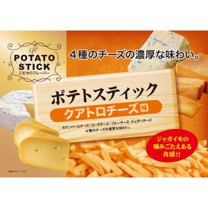 〈味楽乃里〉ポテトスティック クワトロチーズ ...の詳細画像1
