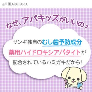 歯磨き粉 子供用 アパガード アパキッズ ペー...の詳細画像2