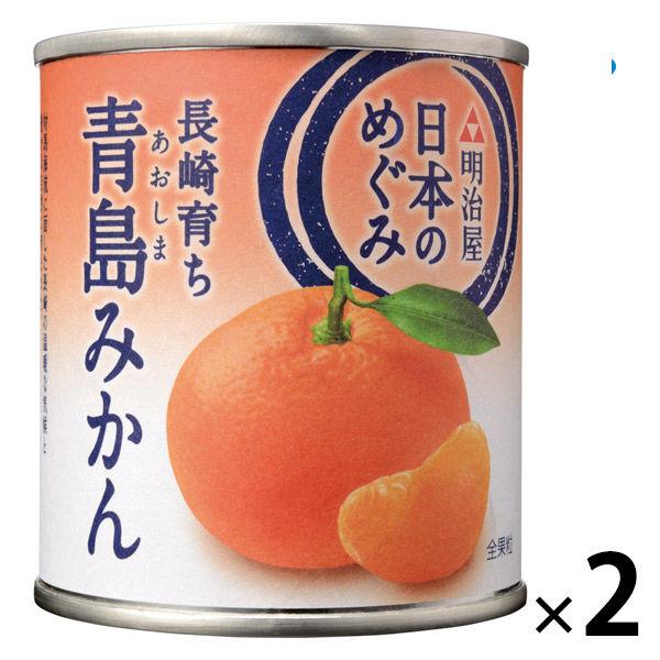 明治屋 日本のめぐみ 長崎育ち 青島みかん 2個