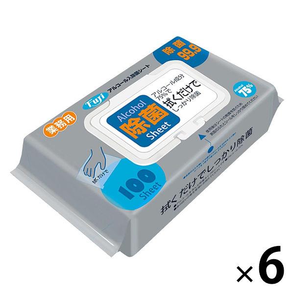 ウェットティッシュ 除菌シート 尚美堂 フジアルコール入除菌シート 913500 1セット（100枚...