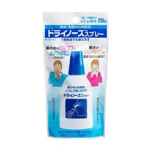 ドライノーズスプレー 20ml 日本臓器製薬の詳細画像1