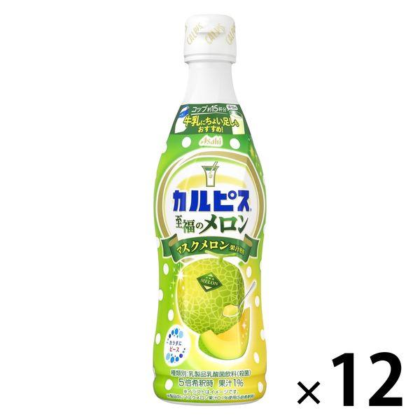 アサヒ飲料 カルピス 至福のメロン プラスチックボトル＜希釈用＞ 470ml 1箱（12本入）