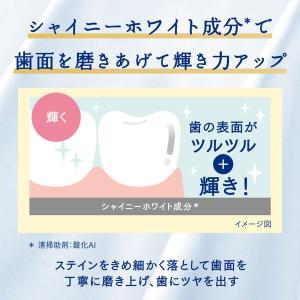 歯磨き粉 ホワイトニング Ora2(オーラツー...の詳細画像3