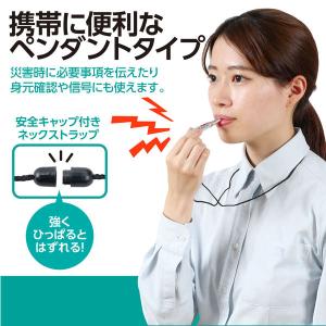 アーテック 緊急用呼子笛 74265 1個の詳細画像1