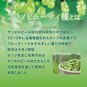 ポッカサッポロフード&ビバレッジ 北海道 富良...の詳細画像3