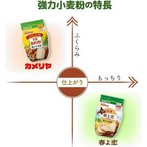 日清 北海道産小麦 春よ恋100% 強力小麦粉...の詳細画像4