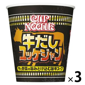 日清食品 カップヌードル 牛だしユッケジャン ビッグ 1セット（3個）