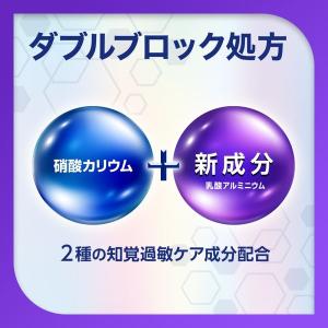 歯磨き粉 フッ素 薬用シュミテクト プラチナプ...の詳細画像2