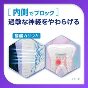 歯磨き粉 フッ素 薬用シュミテクト プラチナプ...の詳細画像3