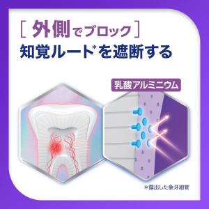 歯磨き粉 フッ素 薬用シュミテクト プラチナプ...の詳細画像4