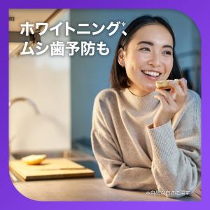 歯磨き粉 フッ素 薬用シュミテクト プラチナプ...の詳細画像5