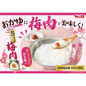 梅肉 40g 1個 エスビー食品 紀州産南高梅...の詳細画像3