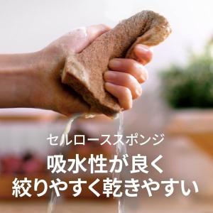 スリーエム(3M)スコッチブライト グリーナー...の詳細画像3