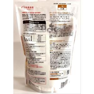 お米の粉 手作りパンの強力粉 500g 1個 波里の詳細画像2