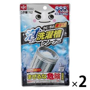 激落ちくん 泡立つ洗濯槽クリーナー 1回分 120g 1セット（2個） レック