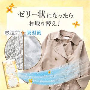 ドライ&ドライUP 除湿剤 クローゼット・洋服...の詳細画像4