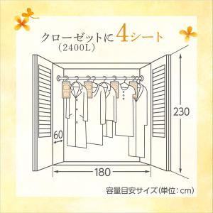 ドライ&ドライUP 除湿剤 クローゼット・洋服...の詳細画像5