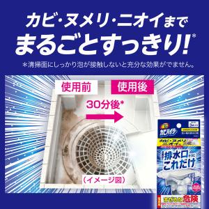 強力カビハイター 排水口そうじこれだけ 大容量...の詳細画像2