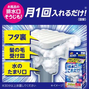 強力カビハイター 排水口そうじこれだけ 大容量...の詳細画像5