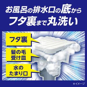 強力カビハイター 排水口そうじこれだけ 1箱(...の詳細画像3