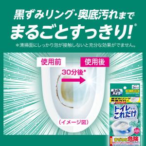 トイレハイター トイレそうじこれだけ 1セット...の詳細画像4
