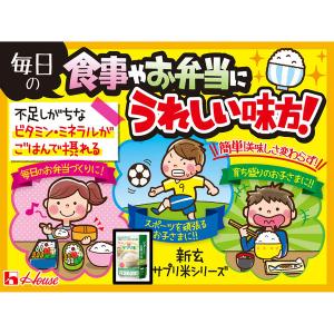新玄 サプリ米ビタミン&鉄分米 50g 1個 ...の詳細画像4