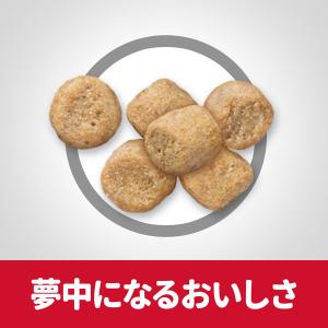 キャットフード サイエンスダイエット 猫 シニ...の詳細画像3