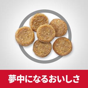 キャットフード サイエンスダイエット 猫 アダ...の詳細画像4
