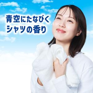 アリエール 洗濯洗剤 液体 漂白剤レベル洗浄 ...の詳細画像5