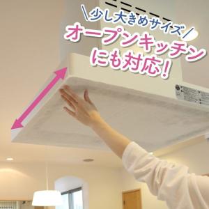 フィルたん パッと貼るだけ レンジフードフィル...の詳細画像2