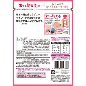 ニチフリ 岩下の新生姜味ふりかけ 20g 1個の詳細画像2