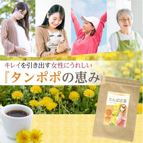 たんぽぽ茶 タンポポ茶 2g×30包 女性 タンポポコーヒー 妊活 温活 妊娠中 妊婦 授乳 母乳育...
