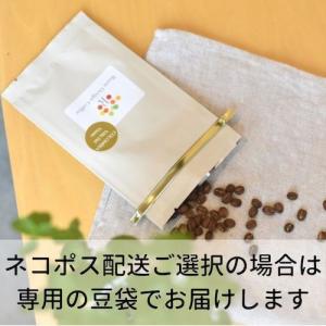 スペシャルティコーヒー100g×2種 ポスト投函セット