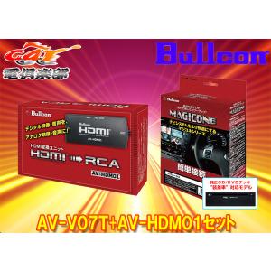 Data System（データシステム） 【取寄商品】データシステムVIK-T73+