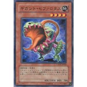 セファロタスの商品一覧 通販 Yahoo ショッピング