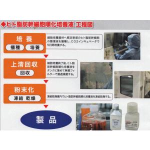 5%OFF 国産ヒト幹細胞SCJエクソソーム配...の詳細画像3
