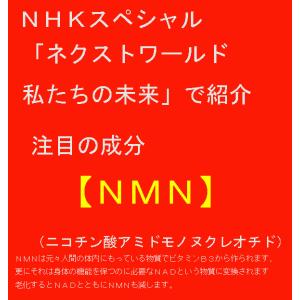 国産NMN15000純度99.90% 5個 4...の詳細画像1