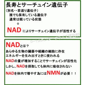 国産NMN15000純度99.90% 5個 4...の詳細画像3