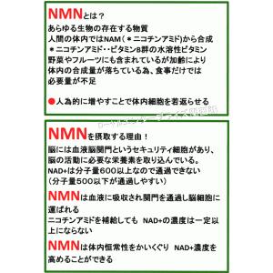 国産NMN15000 3個 純度99.90%!...の詳細画像4