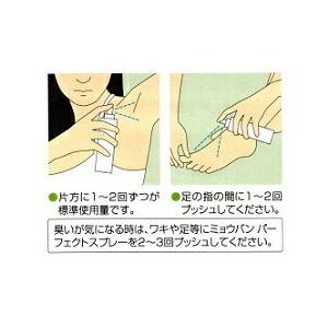 3本セット/送料無料/ ミョウバンスプレー デ...の詳細画像2