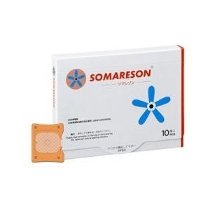 ソマレゾンL 7mm 10個入り SOMANIKS ソマニクス 東洋レジン株式会社