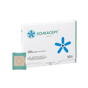 ソマレゾンL 7mm 10個入り SOMANIKS ソマニクス 東洋レジン株式会社