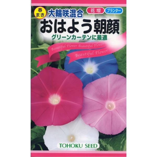 トーホクの種 大輪咲混合 おはよう朝顔 花色混合（紅・桃・紫・白など） 内容量1.5ml
