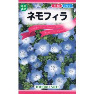 トーホクの種 ネモフィラ 春・秋まきのタネ 内容量0.6ml｜re-net