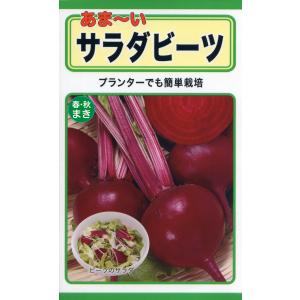 トーホクの種 あま〜いサラダビーツ プランターでも簡単栽培 内容量10ml｜re-net