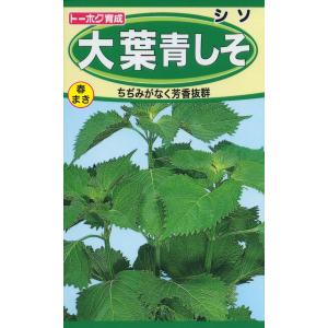 トーホクの種 大葉青しそ ちぢみがなく芳香抜群 内容量3ml｜re-net
